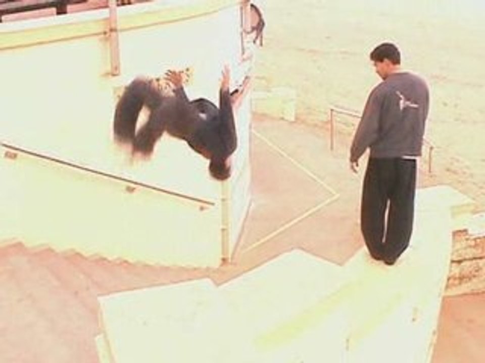 parkour Le tuyau ... fin