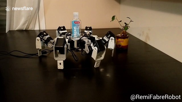 Robot reminds people to wash hands during coronavirus outbreak