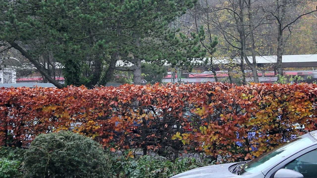 Spirit Sound Pinneberg 2013 Folge 22 /Full Film/Complete Movie/Ganzer Film