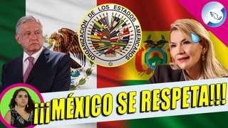 ¡ALERTA MÉXICO! Bolivia Denuncia a AMLO y Lo Llevará a La Corte; El Conflicto Sigue
