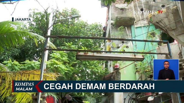 Cegah DBD! Warga Rutin Pantau Jentik Nyamuk
