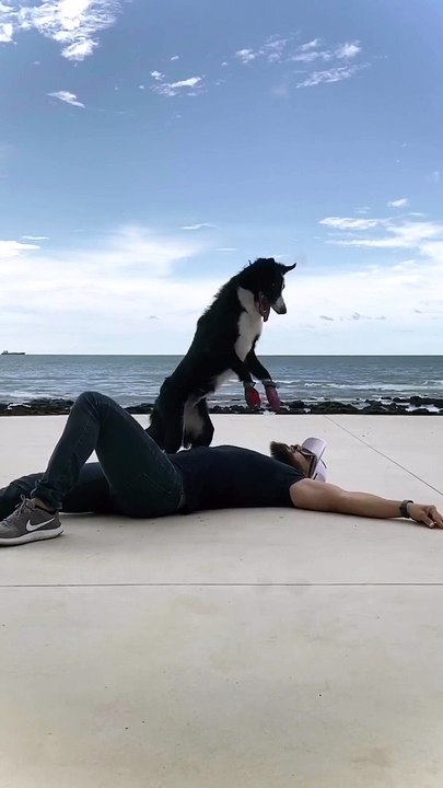 Rescue Border Collie Practices Her CPR
