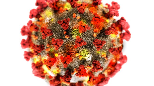 18 Americans With Coronavirus Linked To River Nile Cruise Ship