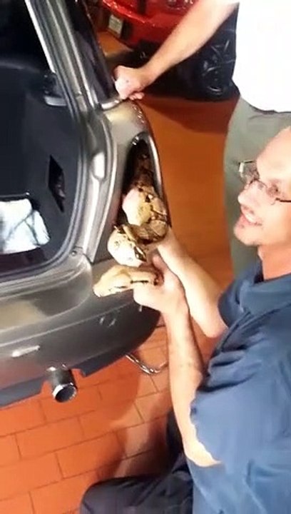 Regardez ce qu'il découvre dans cette Mini cooper