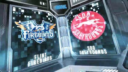 FLNT (1) at SOO (4) MAR11