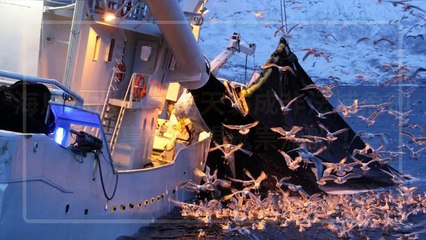 petmao_curation-petsmao.nownews|petmao_nownews-copy4-20200312-09:30