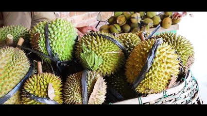 Durian Merica dari Trawas, Si Mungil dengan Rasa Manis nan Menggigit