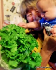 Baby Trying Fruits And Vegetable First Time