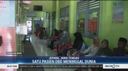 119 Warga Jepara Terjangkit DBD, 1 di Antaranya Meninggal