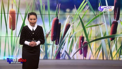 โลกเล่าเรื่อง world pulse 11 มี.ค. 63 : โรงไฟฟ้าพลังงานลมนอกชายฝั่งอังกฤษ