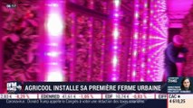 La France qui bouge : Agricool installe sa première ferme urbaine - 12/03