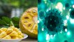 Coronavirus : कोरोना वायरस के कहर में कटहल की मांग बढ़ी, जानें क्यों | Corona Jackfruit | Boldsky