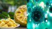 Coronavirus : कोरोना वायरस के कहर में कटहल की मांग बढ़ी, जानें क्यों | Corona Jackfruit | Boldsky