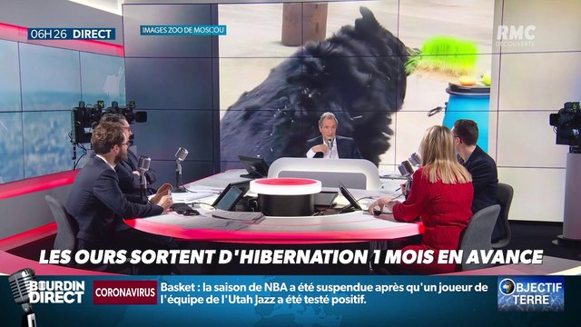Objectif Terre : Les ours sortent d'hibernation un mois en avance - 12/03
