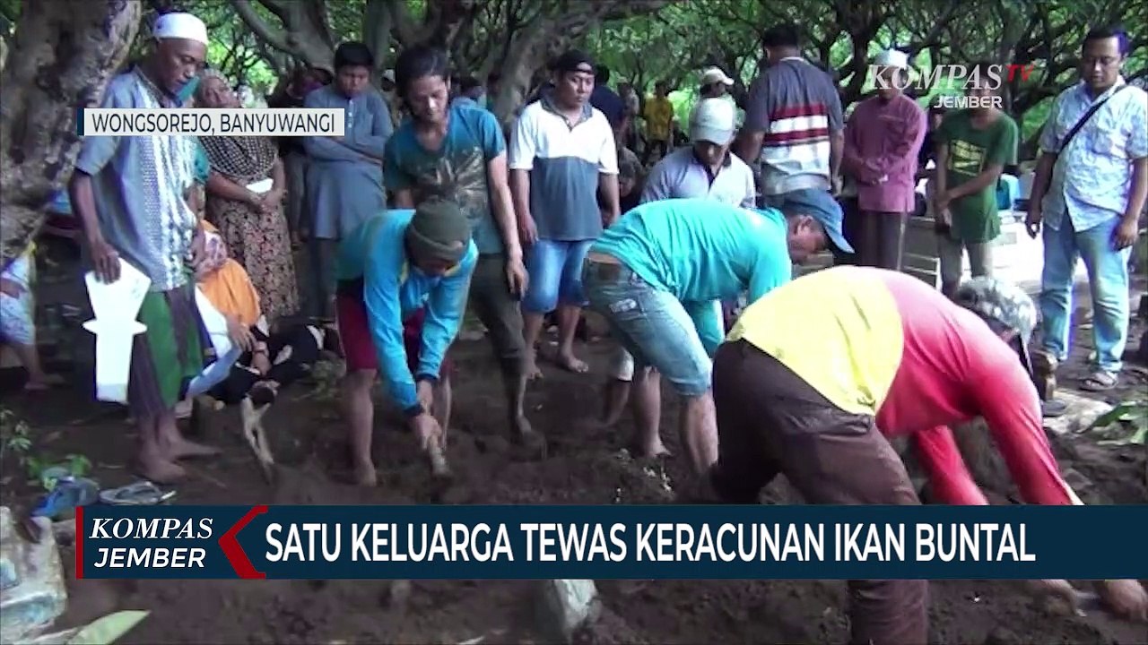 Satu Keluarga Tewas Keracunan Ikan Buntal