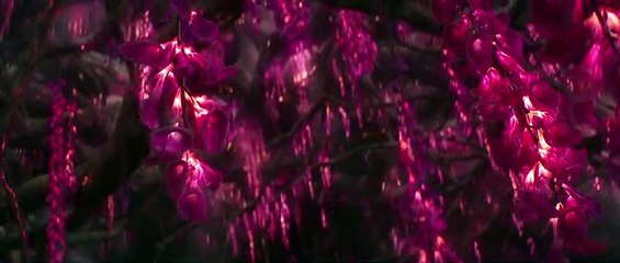 Disney’s Jungle Cruise - Official Trailer