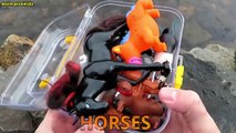 Horses For Kids Box Full Of Toys Farm Animals Schleich Toy Videos For Kids Old MacDonald Farm Song