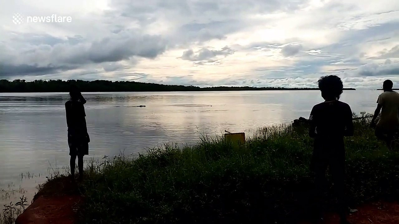 Terrifying moment crocodile charges at group of children on riverbank in Australia