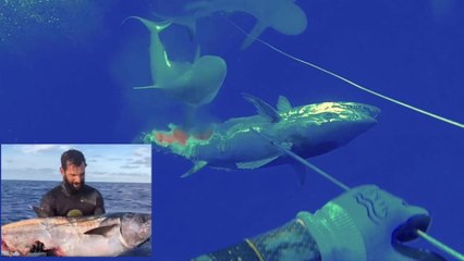 SHARK: Incredible video shows fisherman caught in an epic struggle with three sharks