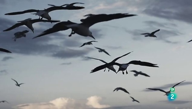 Ideas que revolucionaron el mundo - Avión - Documental