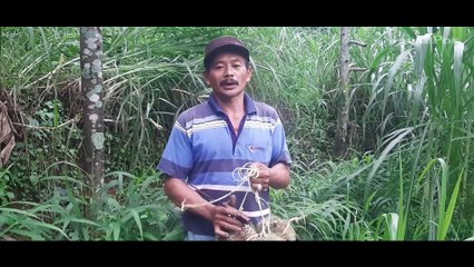 Durian Bromo