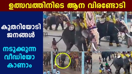 ഉത്സവത്തിനിടെ ആന വിരണ്ടോടി | Oneindia Malayalam