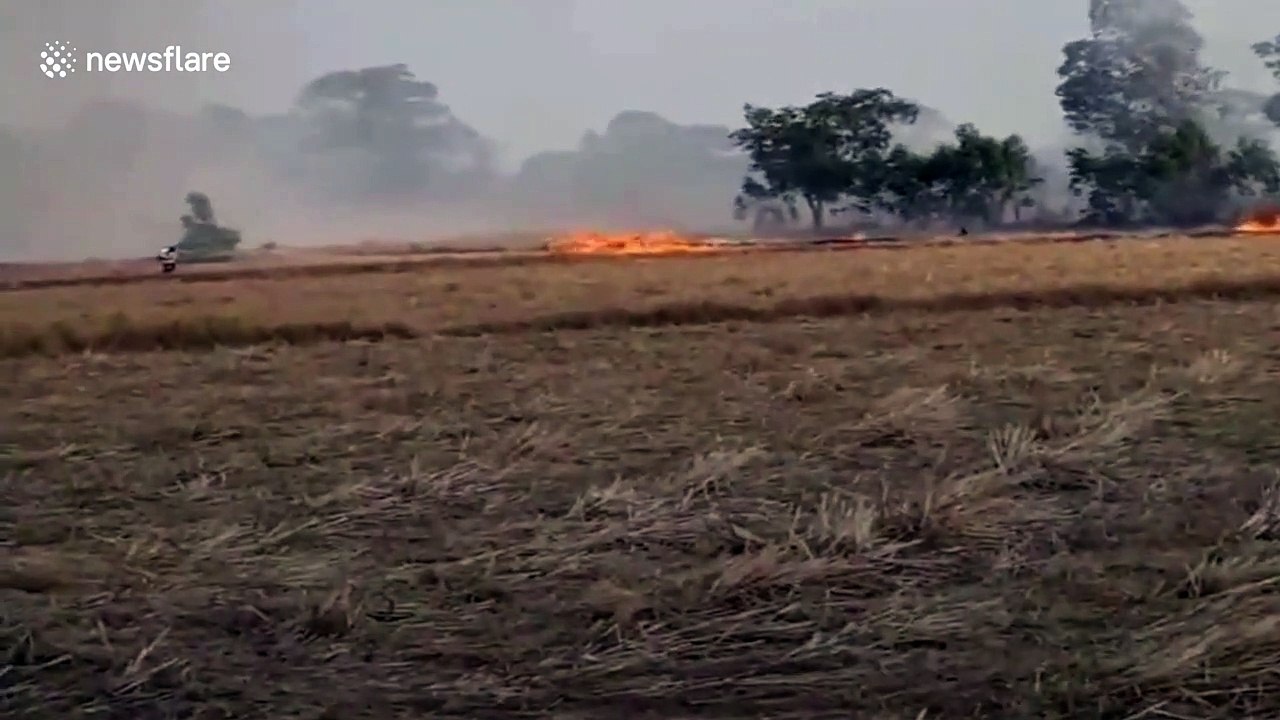 Thick cloud of smoke from grass fire blown across field by gust of wind in Thailand
