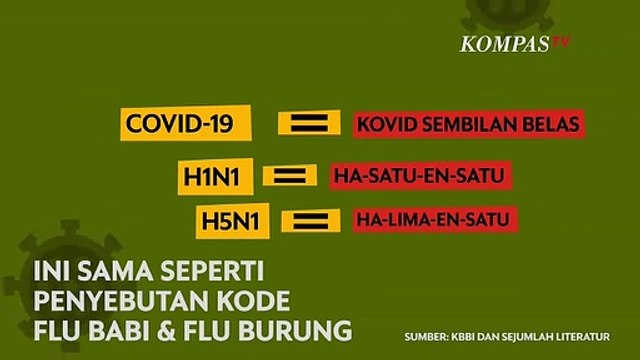 Pahami Istilah Terkait Virus Corona: Apa Itu Specimen Hingga Imported Case?