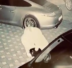 O görüntülerdeki Ece Erken mi