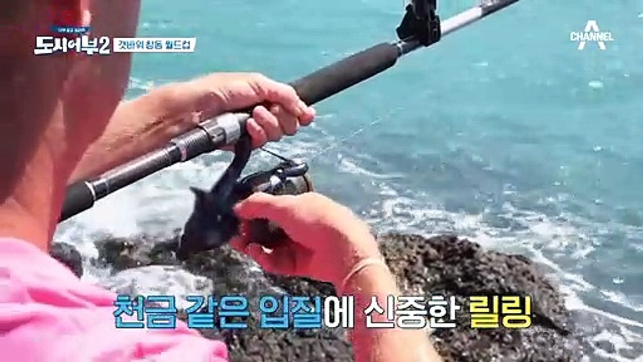 뉴질랜드 명인의 첫 입질~!! 그런데 대략 8짜 참돔 눈 앞에서 놓쳤다(?)ㅠㅠ