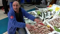 SAMSUN Karadeniz'de balık avı azaldı