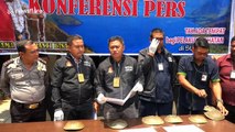 Indonesian police seize over 400 horseshoe crabs from illegal wildlife smugglers