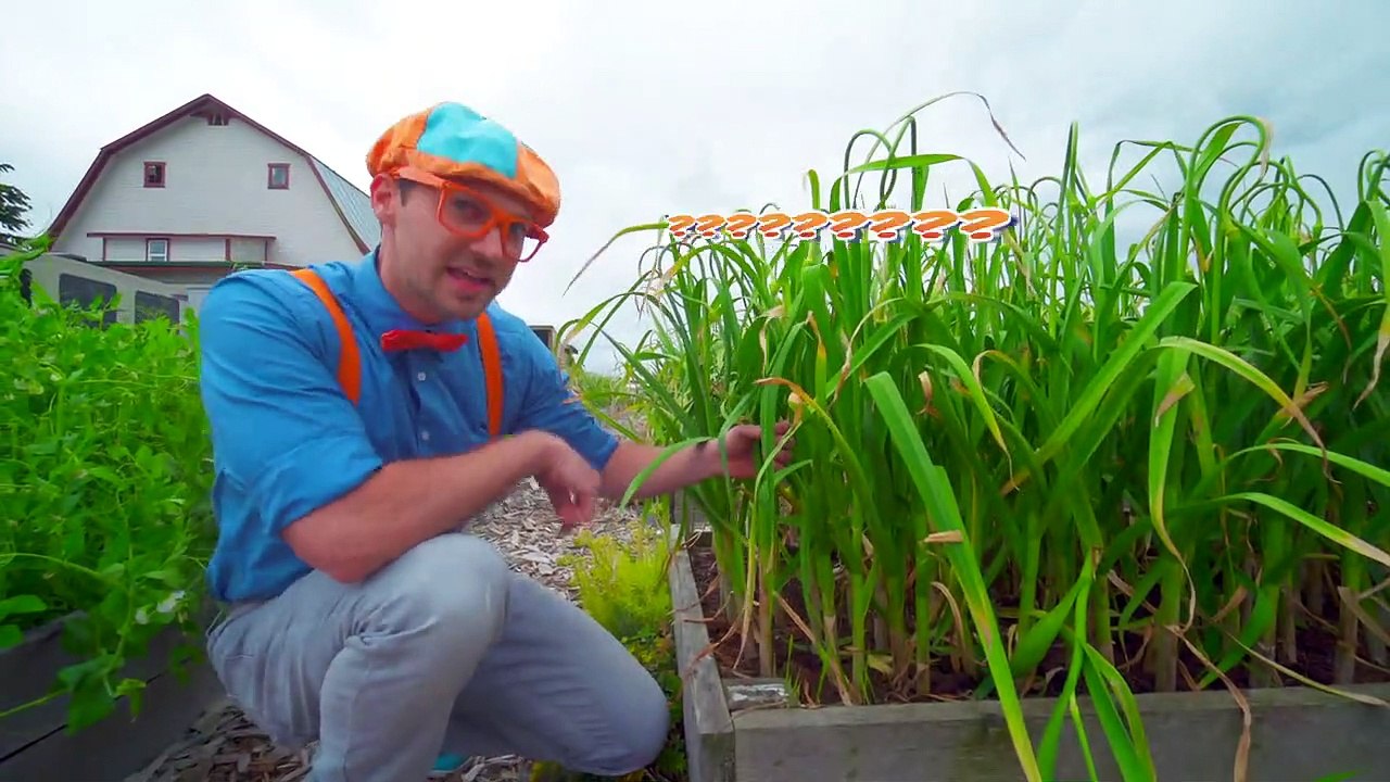 Blippi Farm Tour - Farm Animals and Vegetables for Kids