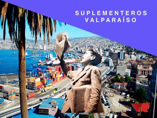 Suplementera María José Oyarzún Gutiérrez