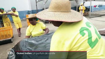 Vanille : au coeur de la plus grande usine de Madagascar