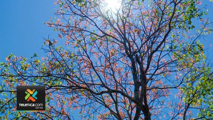 bd-parques-verano-120320