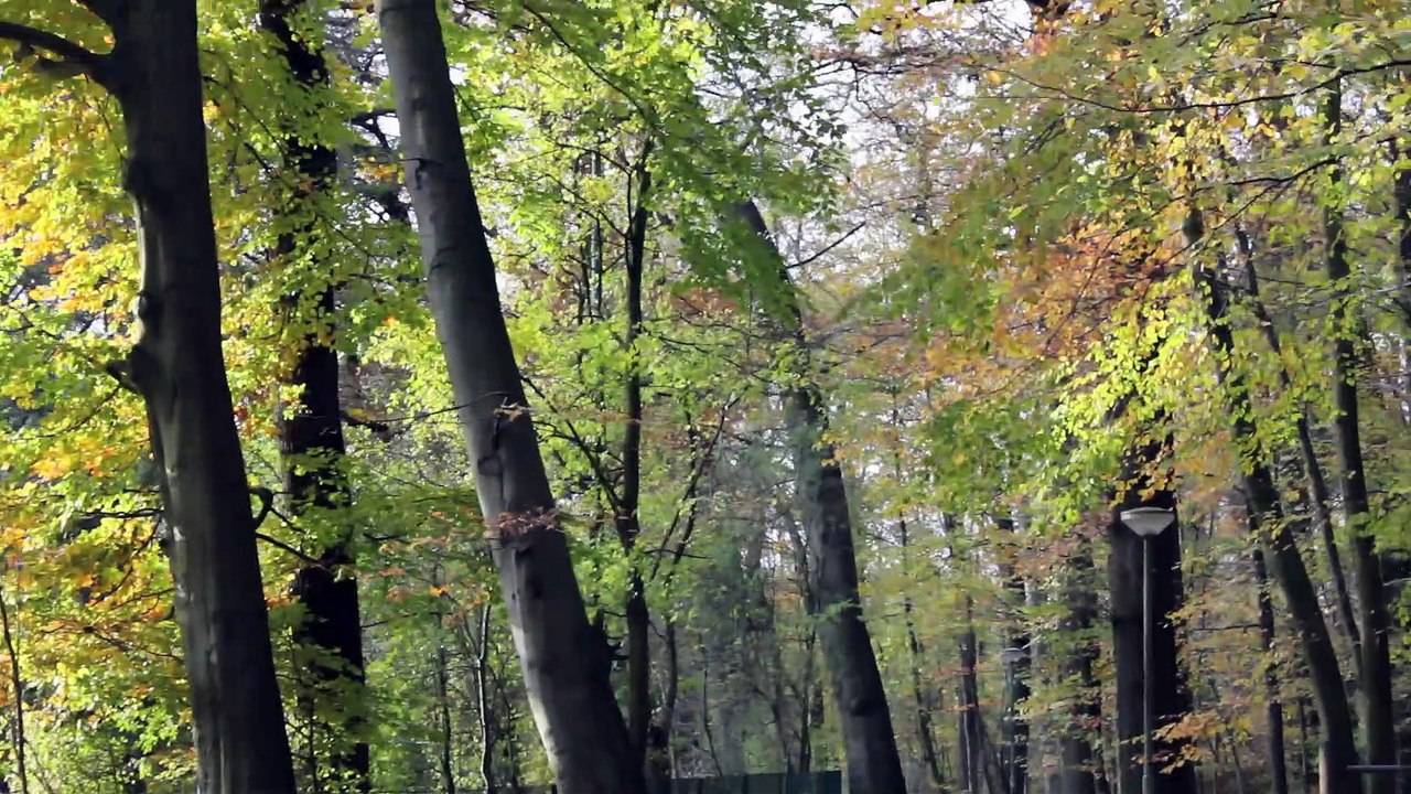 Spirit Sound Pinneberg 2013 Folge 24 /Full Film/Complete Movie/Ganzer Film