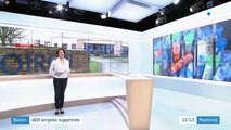 Boiron 600 emplois