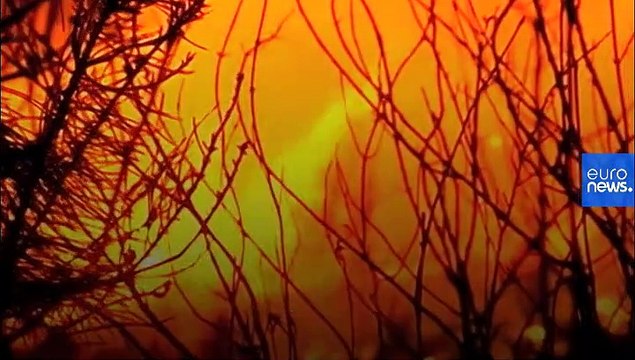 How fire turned a goat herder into a climate migrant in 'empty Spain'