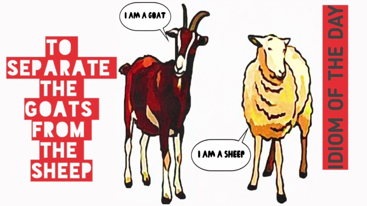 Idiom: To separate the goats from the sheep