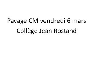 Pavage école La Maraichère au collège Jean Rostand