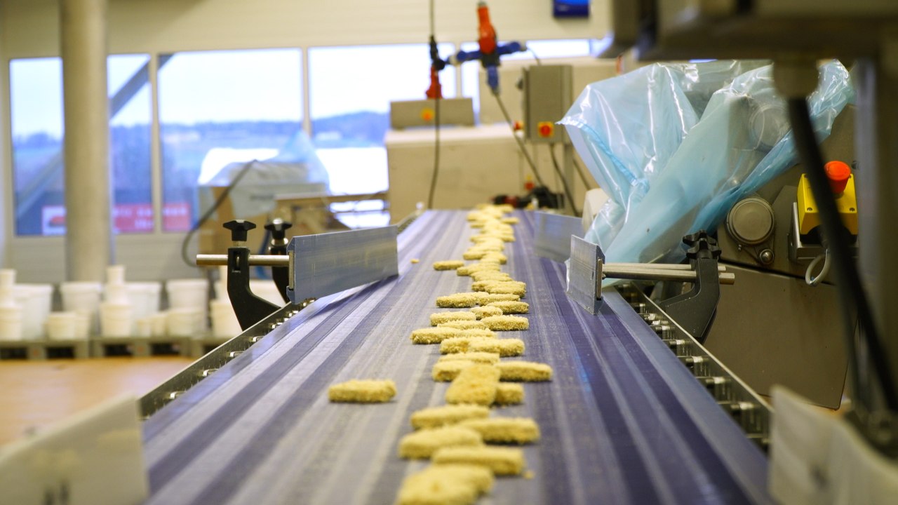 Vegane Schnitzerl, Nuggets & Co: Fleischalternativen unter der Lupe