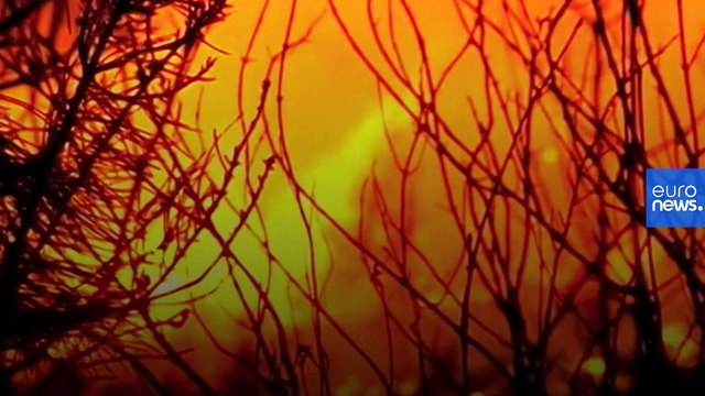 How fire turned a goat herder into a climate migrant in 'empty Spain'