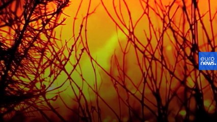 How fire turned a goat herder into a climate migrant in 'empty Spain'