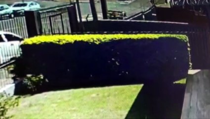 Câmera registra colisão entre carros no Centro