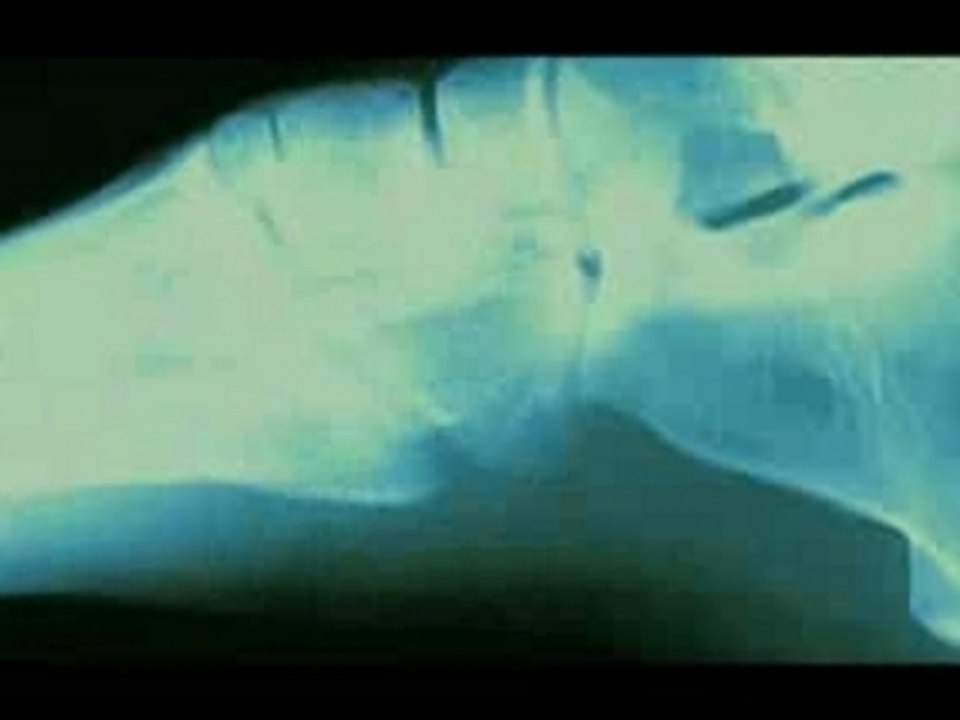 Vince carter - highlight machine