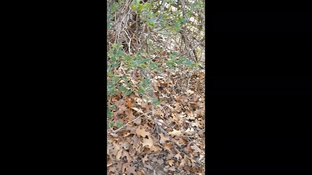 Ghosts in the Graveyard Do They Talk About Other Ghosts Lunar Paranormal Virginia