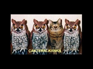 1 - temel reis  -altına hucum - hd - kubilaysavash