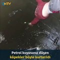 Atık petrol kuyusuna düşen köpeği kurtaran bedeni küçük yüreği kocaman çocuklar