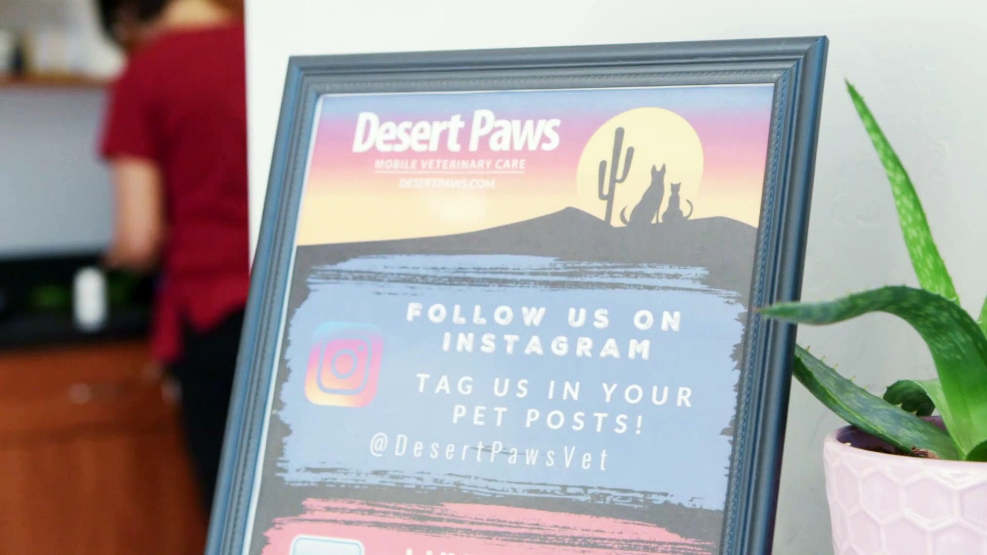 ⁣Dog & Cat Dentistry | Tucson, AZ | Desert Paws Mobile Veterinary Care